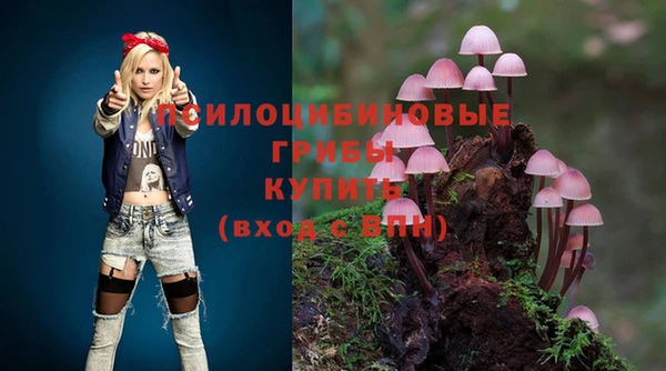 jwh Белокуриха