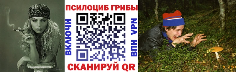цена наркотик  Шелехов  Галлюциногенные грибы Psilocybe 